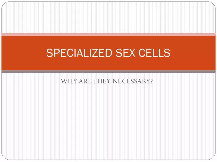 specialized sex cells