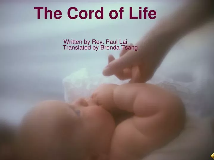 the cord of life written by rev paul lai translated by brenda tsang