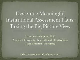 Designing Meaningful Institutional Assessment Plans: Taking the Big Picture View