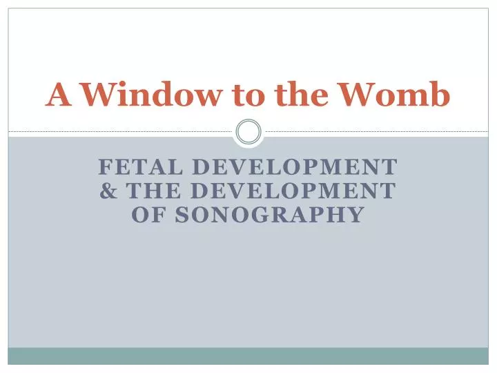 a window to the womb