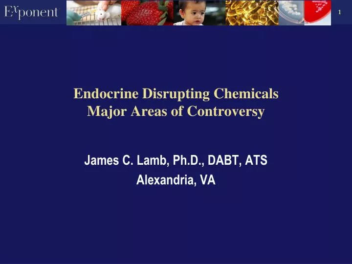 endocrine disrupting chemicals major areas of controversy