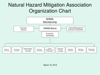 Natural Hazard Mitigation Association Organization Chart