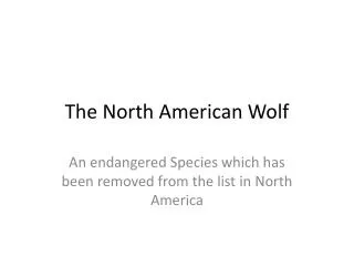 The North American Wolf