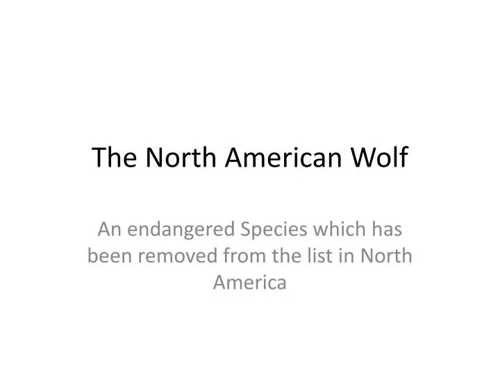 the north american wolf