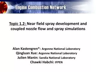 Topic 1.2: Near field spray development and coupled nozzle flow and spray simulations