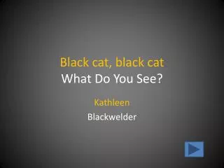 Black cat, black cat What Do You See?