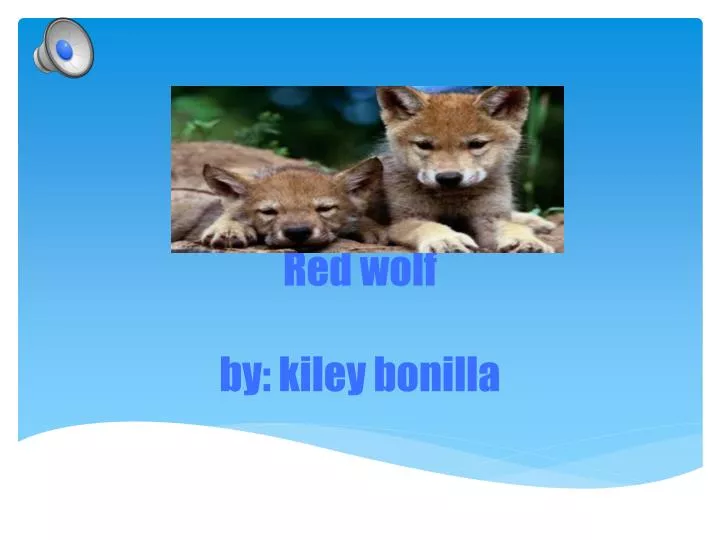 red wolf by kiley bonilla
