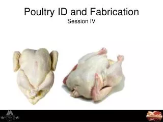 Poultry ID and Fabrication Session IV