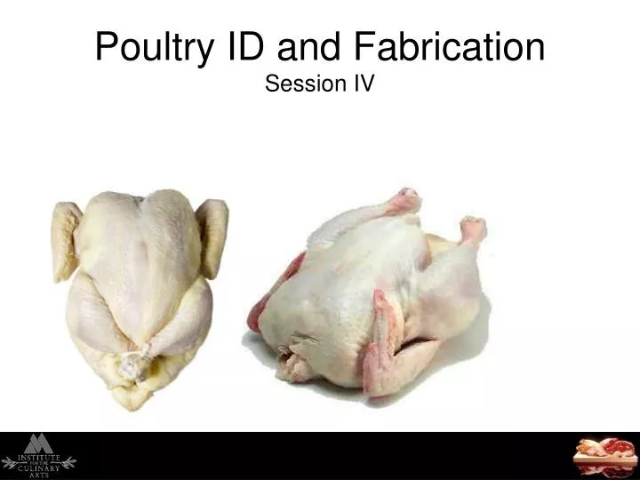 poultry id and fabrication session iv