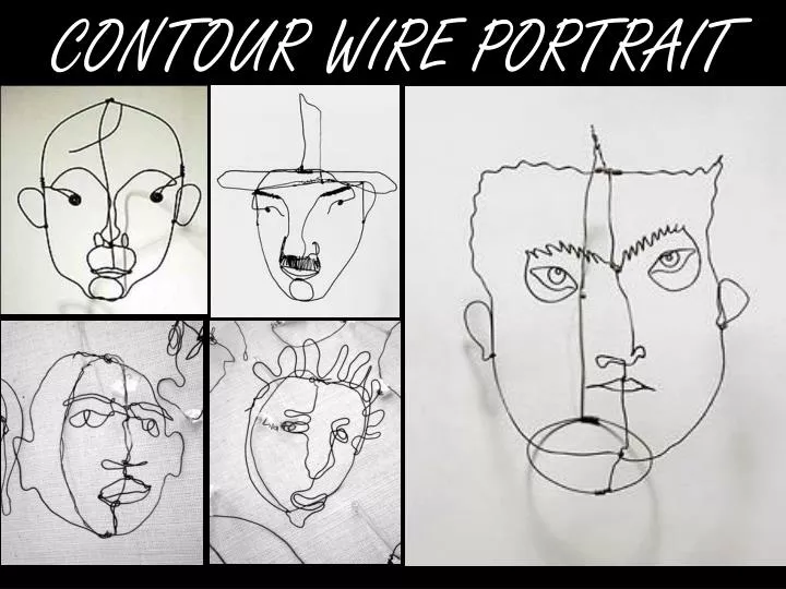 contour wire portrait