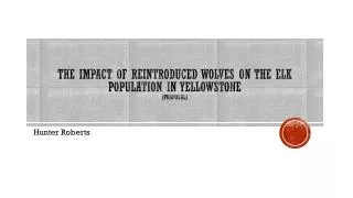 The impact of reintroduced wolves on the elk population in Yellowstone (proposal)
