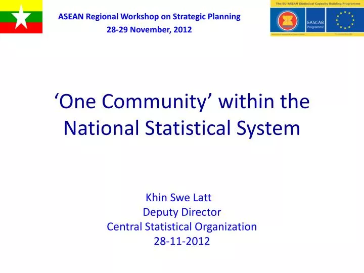 one community within the national statistical system