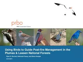 Using Birds to Guide Post-fire Management in the Plumas &amp; Lassen National Forests