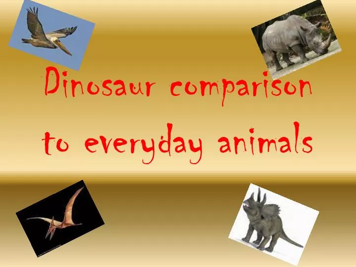 dinosaur comparison to everyday animals