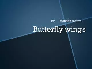 Butterfly wings