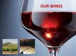 OUR WINES - slide 1