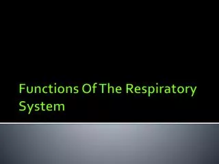 Functions Of T he Respiratory System