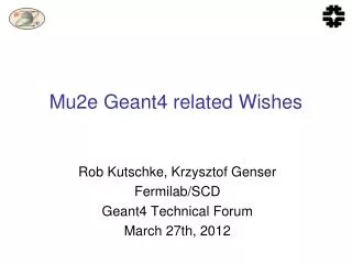 Mu2e Geant4 related Wishes