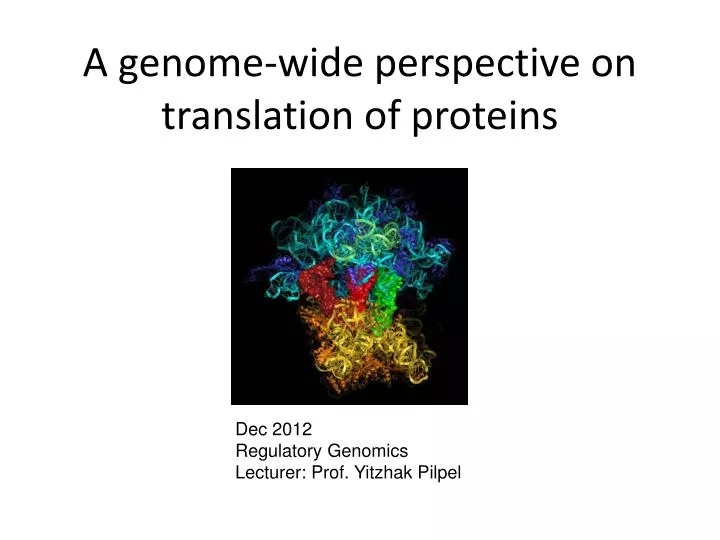a genome wide perspective on translation of proteins