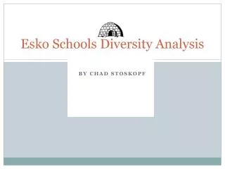 Esko Schools Diversity Analysis