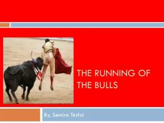 THE Running of the bulls