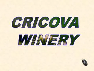 CRICOVA WINERY