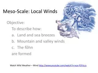 Meso -Scale: Local Winds