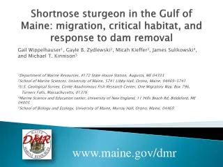 Shortnose sturgeon in the Gulf of Maine: migration, critical habitat, and response to dam removal