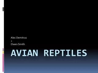 Avian Reptiles
