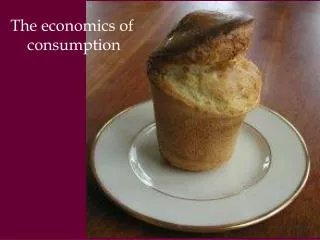 The economics of consumption