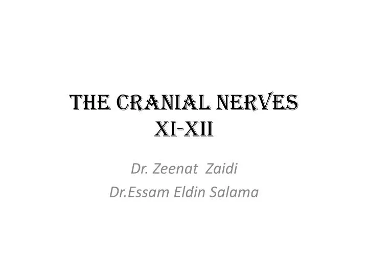 the cranial nerves xi xii