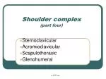 Shoulder complex (part four) - slide 1