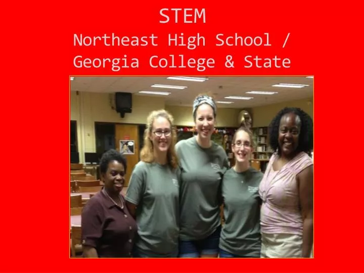 stem northeast high school georgia college state