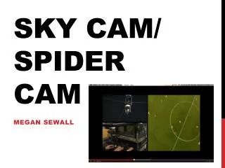 Sky Cam/ spider cam