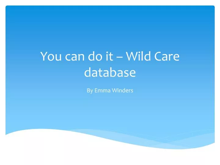 you can do it wild care database