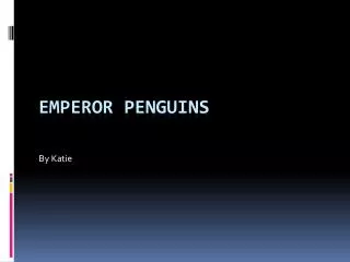 Emperor penguins