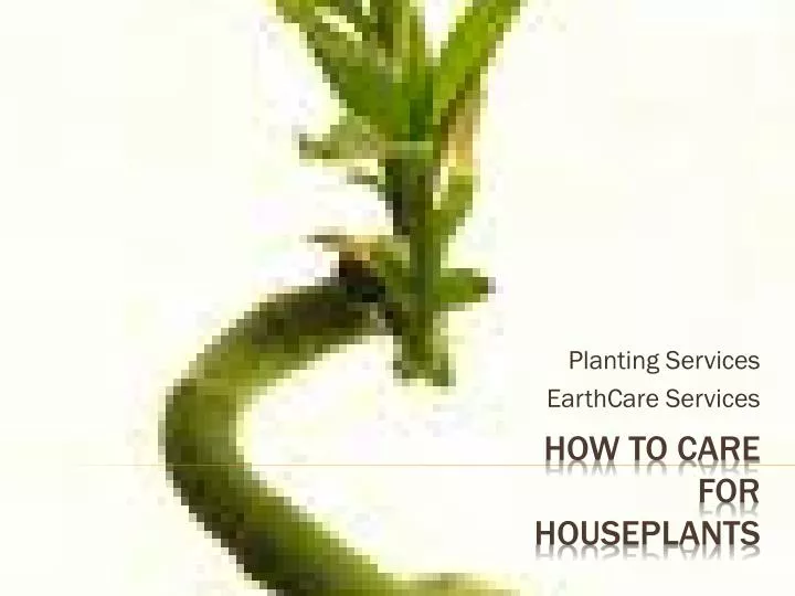 planting services earthcare services