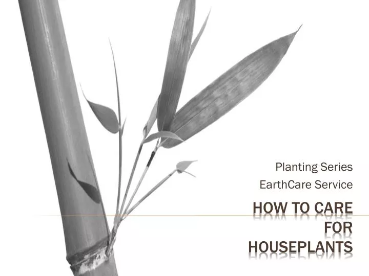 planting series earthcare service