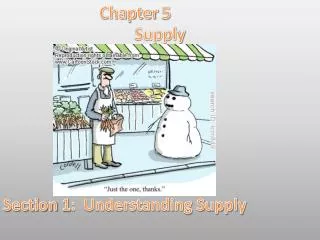 Chapter 5 Supply Section 1: Understanding Supply