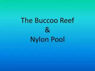 The Buccoo Reef &amp; Nylon Pool