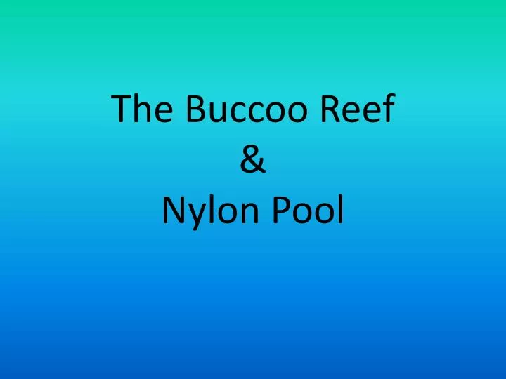 the buccoo reef nylon pool