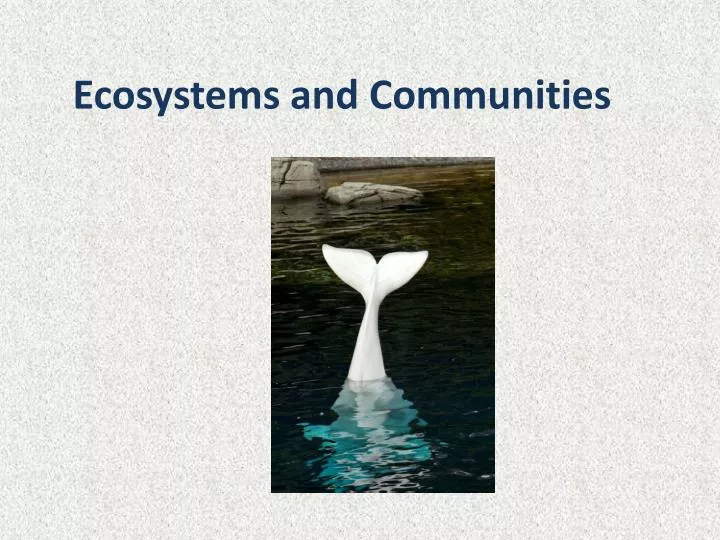 ecosystems and communities