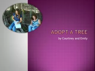 Adopt a Tree