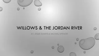 Willows &amp; The Jordan river