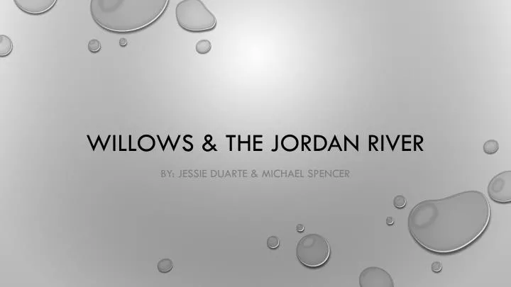 willows the jordan river