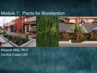 Module 7: Plants for Bioretention