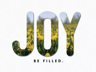 Joy unleashed.