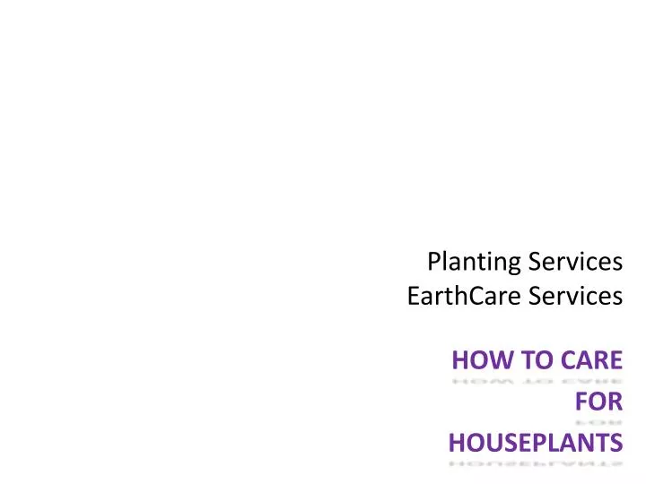 planting services earthcare services