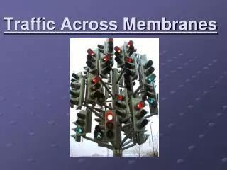 Traffic Across Membranes