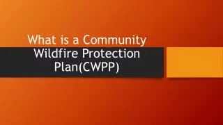 What is a Community Wildfire Protection Plan(CWPP)